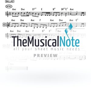 Vnikaisi Avraham Fried Music Sheet