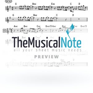 Nitzotzot Yaakov Shwekey Music Sheet